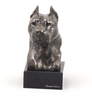 Amerykański Staffordshire terrier głowa na kamieniu Art-Dog